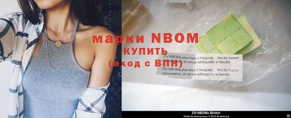 винт Ельня