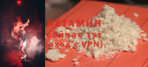 винт Ельня