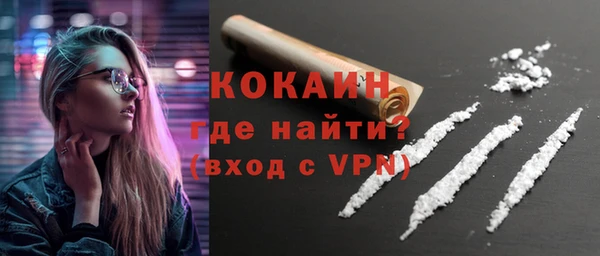 винт Ельня