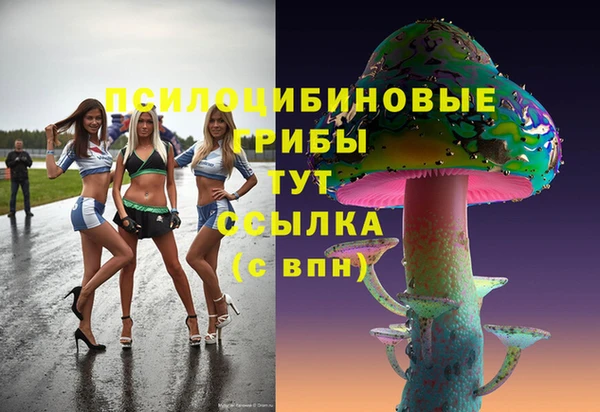 метадон Осташков