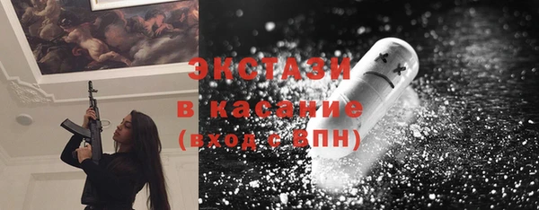 винт Ельня