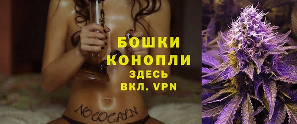 метадон Осташков